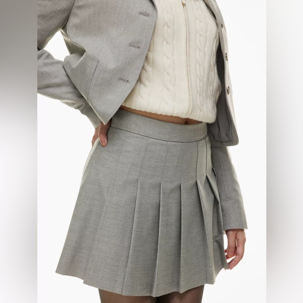 Aritzia pleated skirt